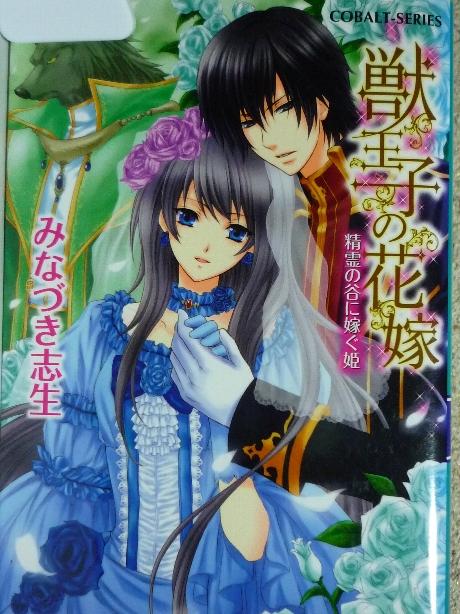 獣王子の花嫁　精霊の谷に嫁ぐ姫　みなづき志生(著)